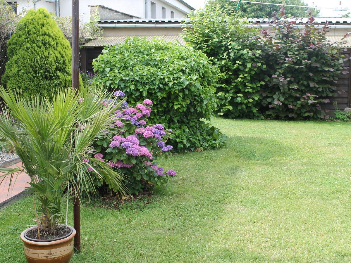 Apartment Rerik With Fenced Garden Ngoại thất bức ảnh